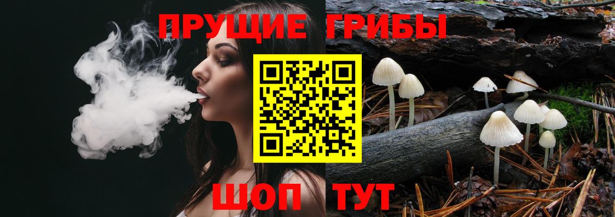 Псилоцибиновые грибы Magic Shrooms  Вход с VPN  где найти наркотики  Псилоцибиновые грибы ЛСД  Дмитров 